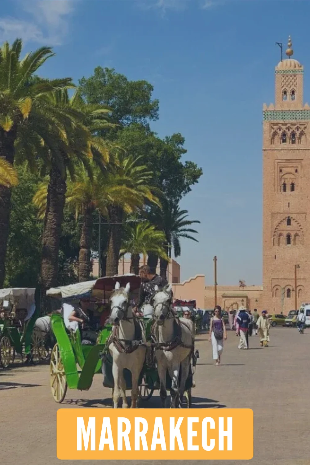 Visita Marrakech con VIP Travel Marocco
