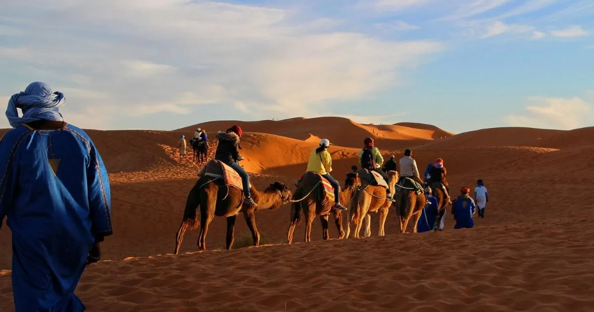Camel Ride Morocco