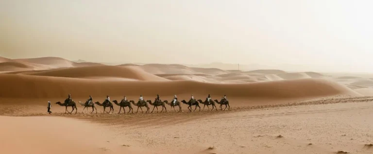 Book Morocco tours with Vip Travel